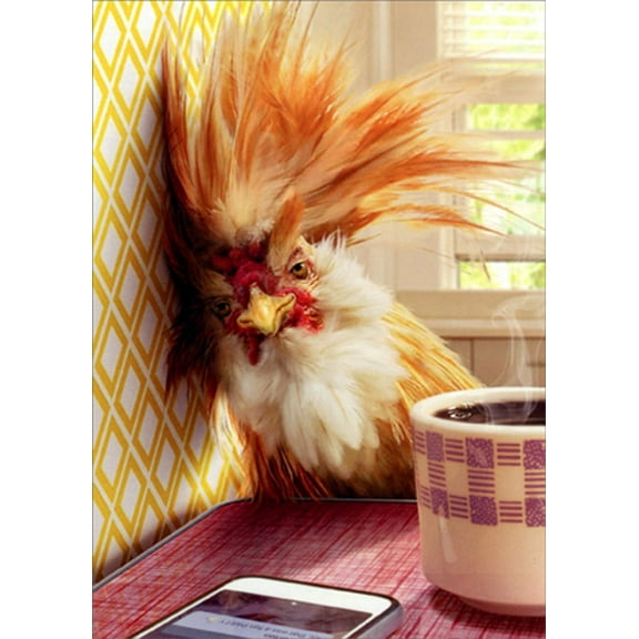 Avanti Press Rooster Hangover Humorous : Funny Birthday Card