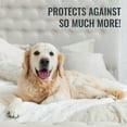 thumbnail image 4 of DMI Twin XL Zippered Mattress Protector, Waterproof, Washable and Noiseless Cover for Hospital Bed, Incontinence, Dorm, 4 of 9