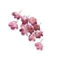 thumbnail image 1 of Inteprter 10 piezas Suministros de boda Flores artificiales bellamente elaboradas respetuosas con el medio ambiente Bajo mantenimiento púrpura Type3 NO3, 1 of 6