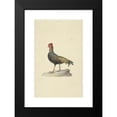 thumbnail image 2 of Circle of François Levaillant 13x18 Black Modern Framed Museum Art Print Titled - Sunathat's Hoses (1763 - 1824), 2 of 5