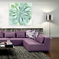 thumbnail image 6 of Epic Art 'Verdant Succulent IV' by Victoria Borges, Acrylic Glass Wall Art, 36"x36", 6 of 7