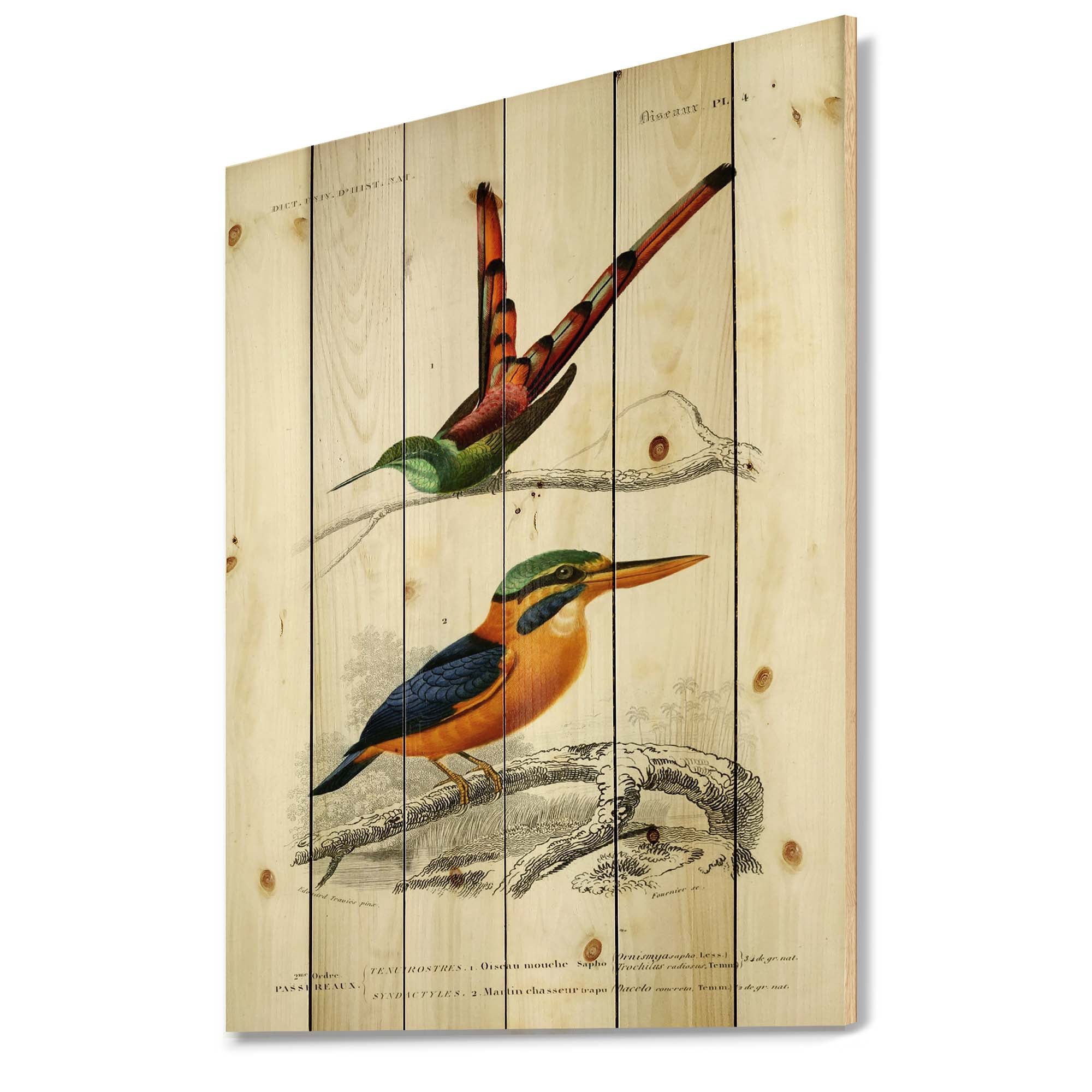 Designart 'Ancient Bird I' Traditional Print on Natural Pine Wood