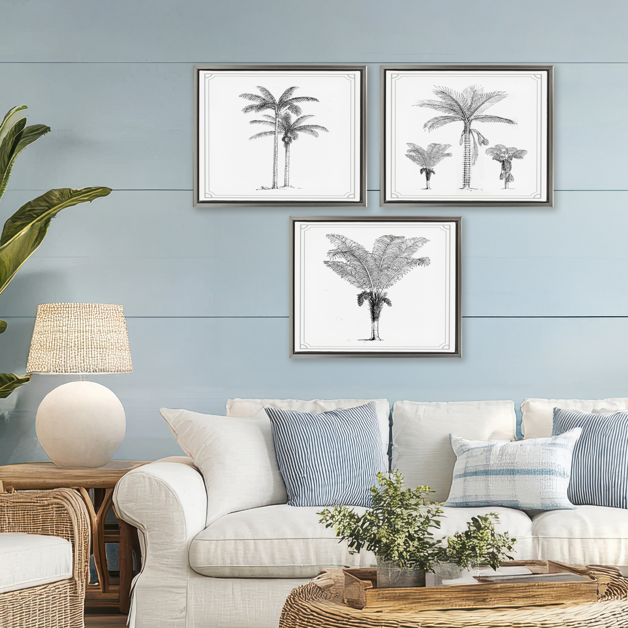 Minimal Vintage Palm Tree Sketches 3 Piece Gray Framed Floater Canvas Set, design by Lettered and Lined