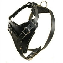 Dean & Tyler Leather Dog Harness The Boss Black Large Adjustable for Big Breeds