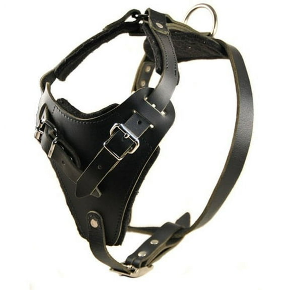 Dean & Tyler Leather Dog Harness The Boss Black Large Adjustable for Big Breeds