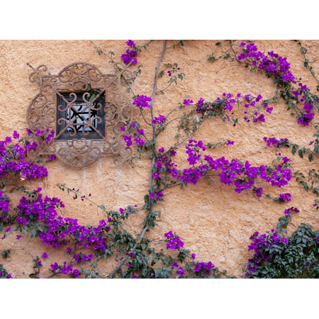 Ornamental Window, San Miguel De Allende, Mexico Print Wall Art By Alice