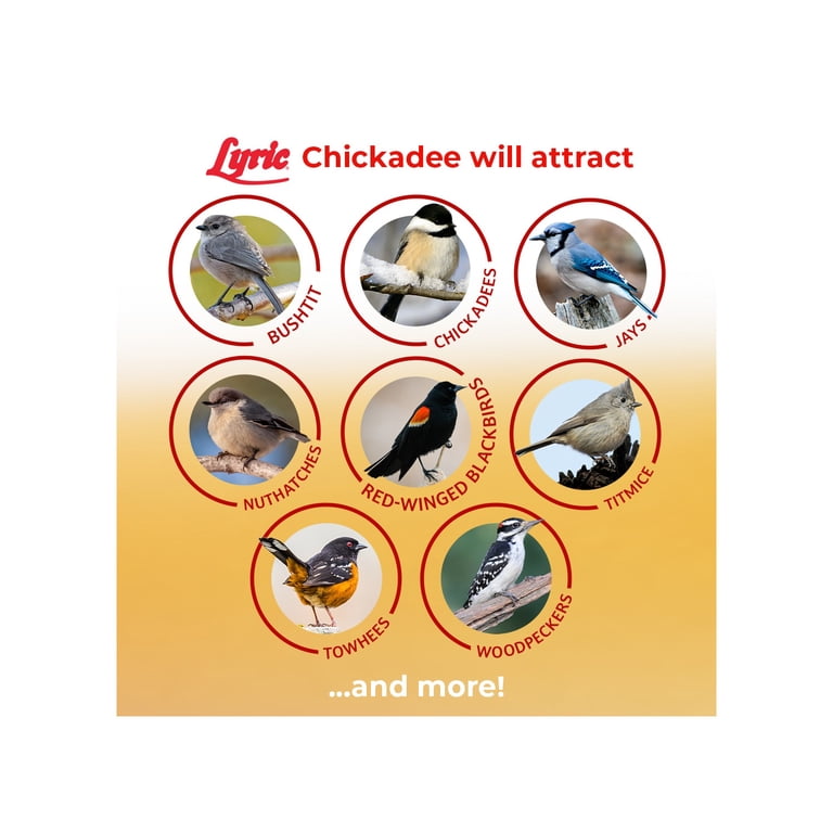 Lyric Chickadee Sunflower & Nut Mix Wild Bird Food, 4 Lb photo 4