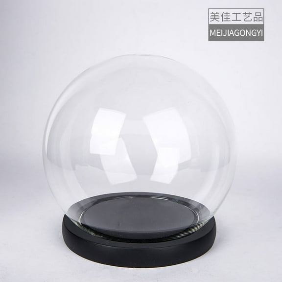 NUOLUX Miniature Glass Display Dome Round Plant Dome Glass Display Case with Base