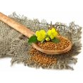 thumbnail image 4 of czcpp-Seeds White Mustard Vegetable Garden Heirloom for Planting Non GMO, 4 of 4