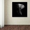 thumbnail image 3 of Trademark Fine Art 'Elephant' Canvas Art by WildPhotoArt, 3 of 3
