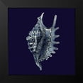 thumbnail image 2 of Vision Studio 12x12 Black Modern Framed Museum Art Print Titled - Indigo Shells VI, 2 of 5