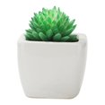 thumbnail image 1 of Simulación de plantas suculentas suministros de diseño creativos de bricolaje accesorios para arreglos florales fabricantes de flores de simulación plantas de simulación A2 flocado verde, 1 of 5