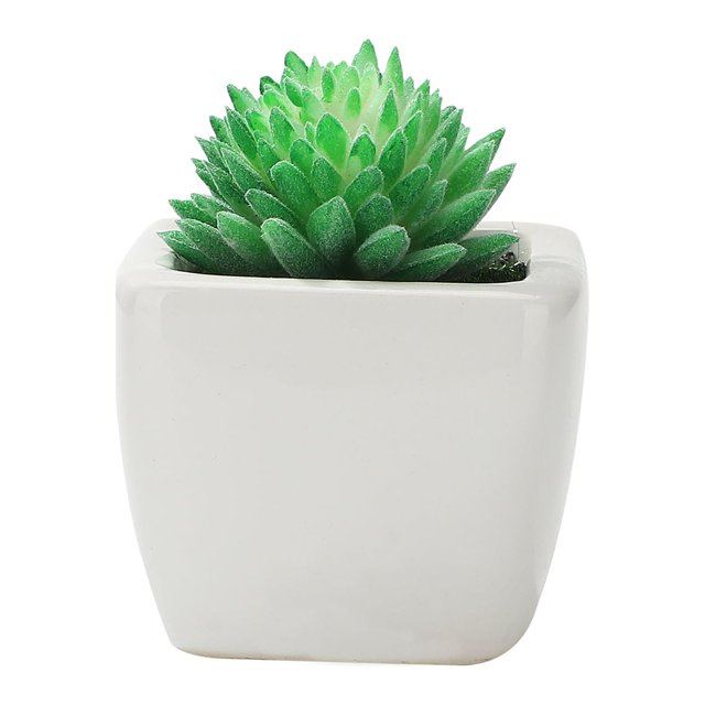 Simulación de plantas suculentas suministros de diseño creativos de bricolaje accesorios para arreglos florales fabricantes de flores de simulación plantas de simulación A2 flocado verde