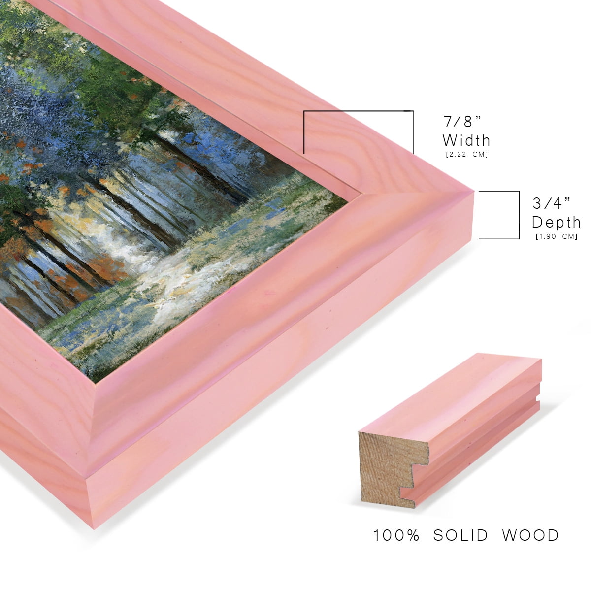 Afternoon Light -Framed Print w/glass-Sunset Pink