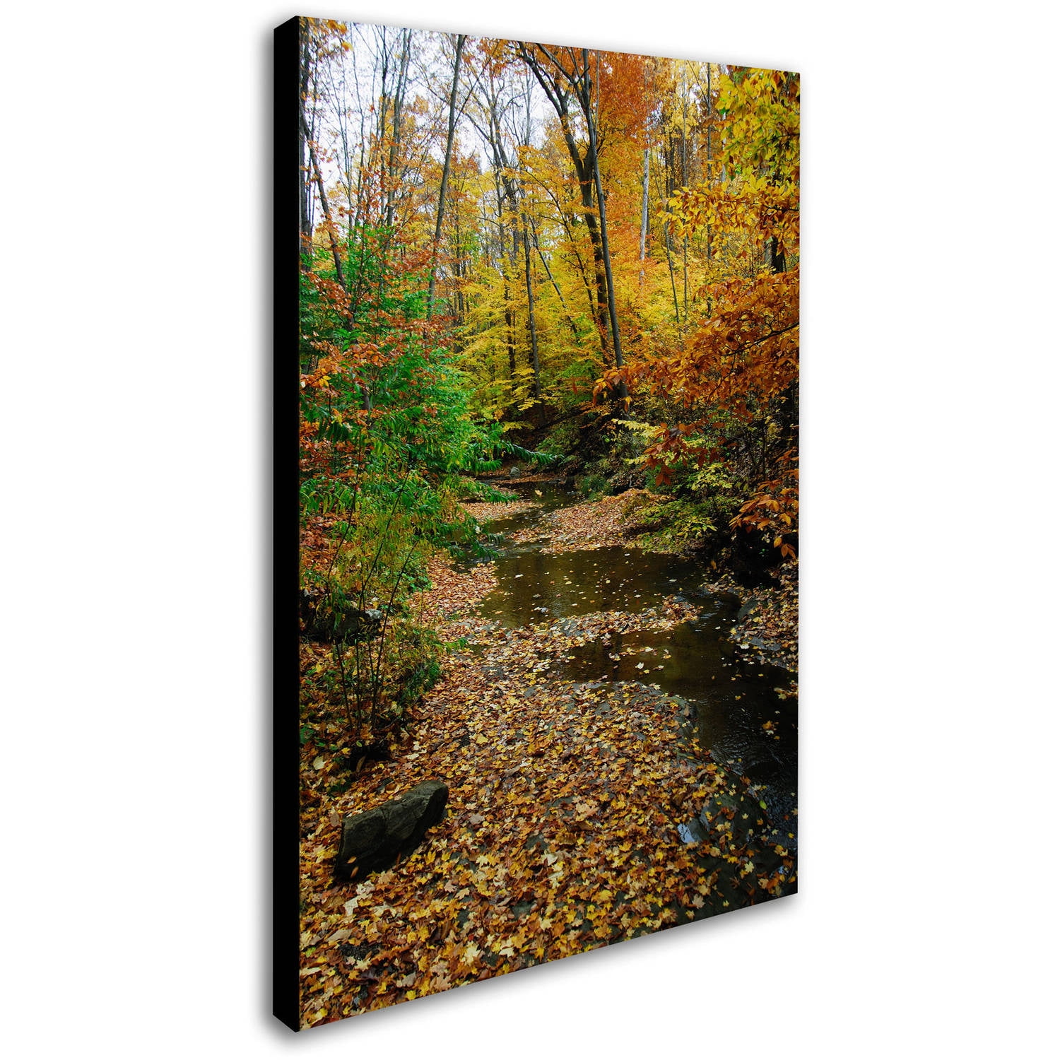 Trademark Fine Art "Autumn Stream" Canvas Art by Kurt Shaffer, 22x32