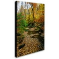 thumbnail image 2 of Trademark Fine Art "Autumn Stream" Canvas Art by Kurt Shaffer, 22x32, 2 of 2
