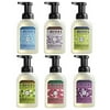MRS. MEYER'S CLEAN DAY Foaming Hand Soap, 10 Oz. Variety Pack of 6 Scents Lemon Verbena, Lavender, Rainwater, Watermelon, Apple, Plumberry Scents Bundle of 6 Items