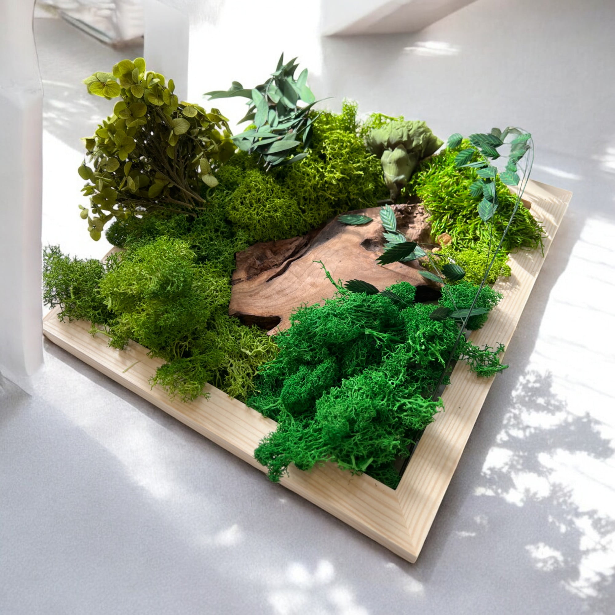 DIY Moss Wall Art Kit, Craft Project, Natural Gift, 6", 8", 10" (3 Piece Set)