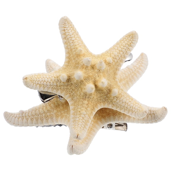 AURARMLET 2pcs Sea Hair Clip in Random Color for Hair Decoration for Women