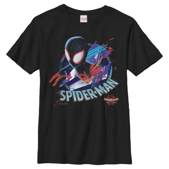 Boy's Marvel Spider-Man: Into the Spider-Verse Cracked Graphic Tee Black Large