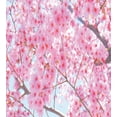 thumbnail image 3 of Ambesonne Floral Duvet Cover Sets, Japanese Sakura Flowers, 2-Twin, Pale Pink, 3 of 4
