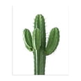 thumbnail image 2 of Tall Cactus Plant Succulent, 2 of 8