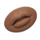 thumbnail image 3 of Eigraketly Práctica de maquillaje permanente en 3D, modelo de labios y boca, adhesivo portátil, piel reutilizable, enseñanza escolar, Material de laboratorio Marrón, 3 of 6