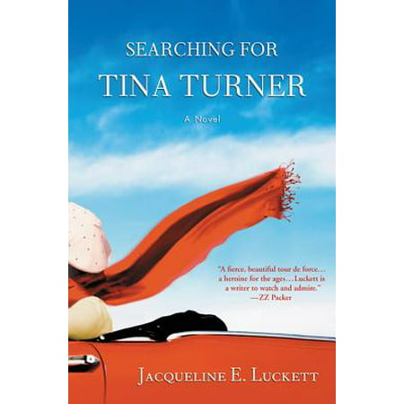 Searching for Tina Turner - eBook