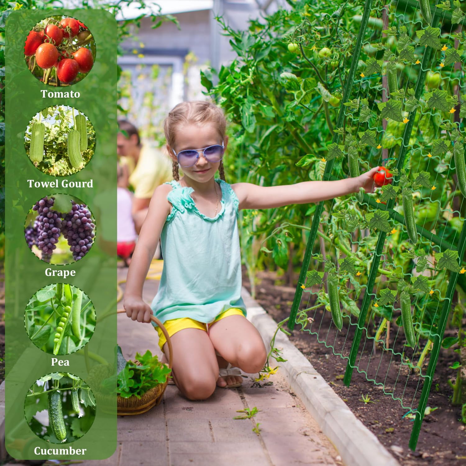 Cucumber Trellis For Raised Beds  31 X 47 Inch Adjustable Size A-frame Garden Climbing Plant Outdoors With Net And Support Clip Vegetable Grape Tomato Supplies