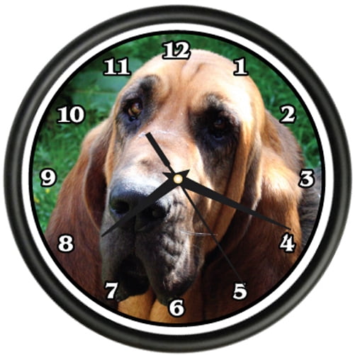 BLOOD HOUND Wall Clock dog doggie pet breed gift