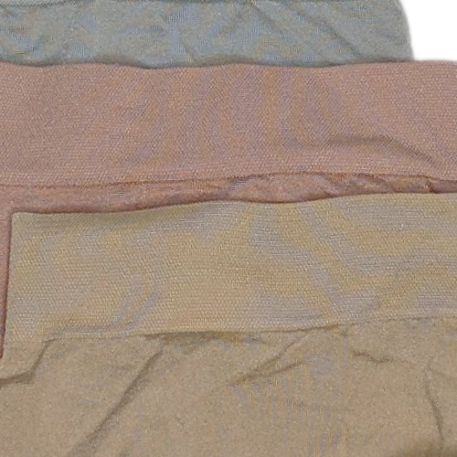 Carole Hochman Women's Panties Size L Comfort Fit Seamless Brief 5-Pack  Beige, Brown, Large : : Clothing, Shoes & Accessories