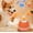 A, variant on Jumping Dog Toy with Chirping Sounds – Interactive Pet Toy with 3 Play Modes & Motion Sensor – Durable Exercise Toy for Small to Large Dogs, Includes Rope