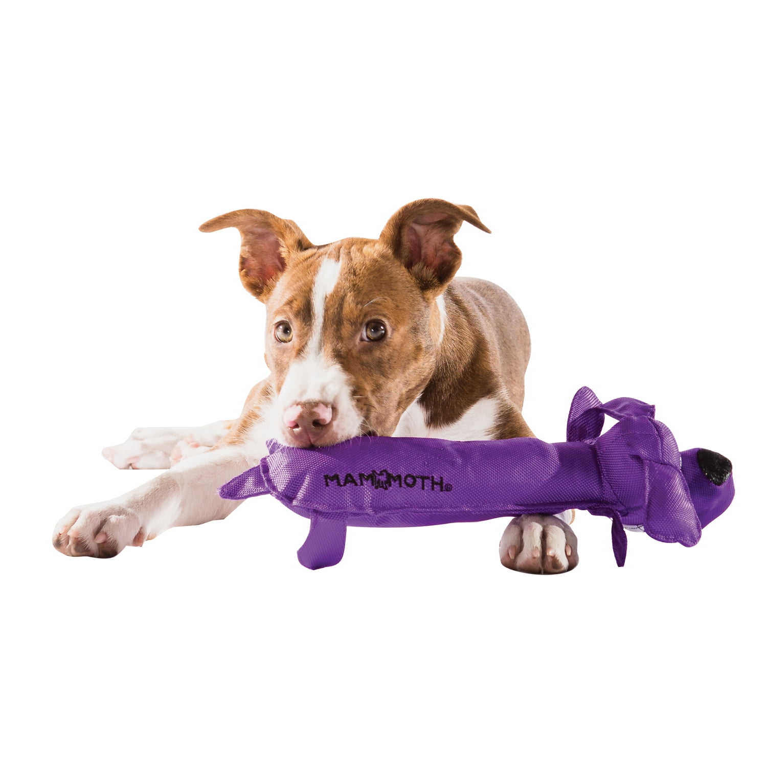 Mammoth Squeakies Dog Nylon Plush Dog Toy, Medium, 14", Assorted Colors