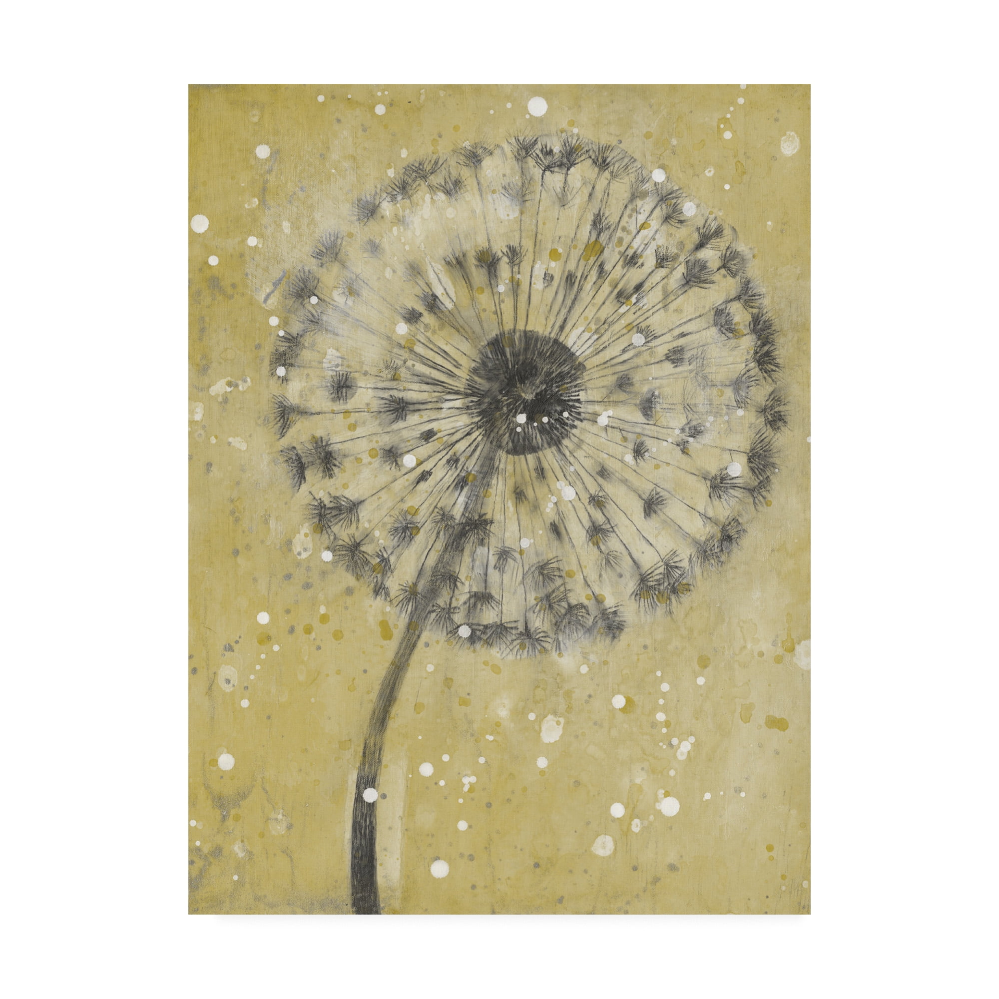 Trademark Fine Art 'Dandelion Abstract I' Canvas Art by Tim OToole