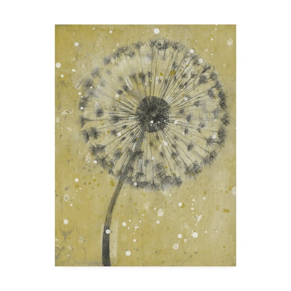 Trademark Fine Art 'Dandelion Abstract I' Canvas Art by Tim OToole