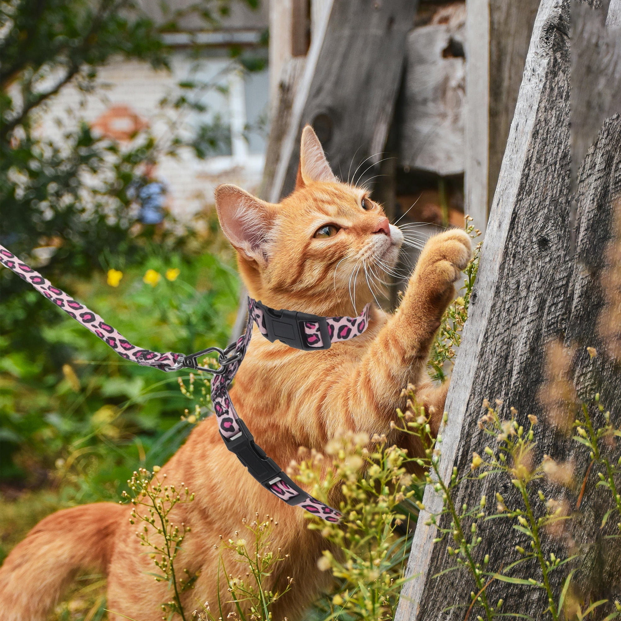 Unique Bargains Cat Harness and Leash Set Escape Proof for Cats Pink