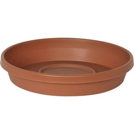 Bloem Terra Plant Saucer Tray for Planters 9-12 Bloem Terra Plant Saucer Tray for Planters 9-12