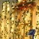 thumbnail image 1 of Guirnalda de luces LED solares de ratán para exteriores, luces decorativas para patio, guirnalda de hojas verdes de Navidad, luces de alambre de cobre, 1 of 5