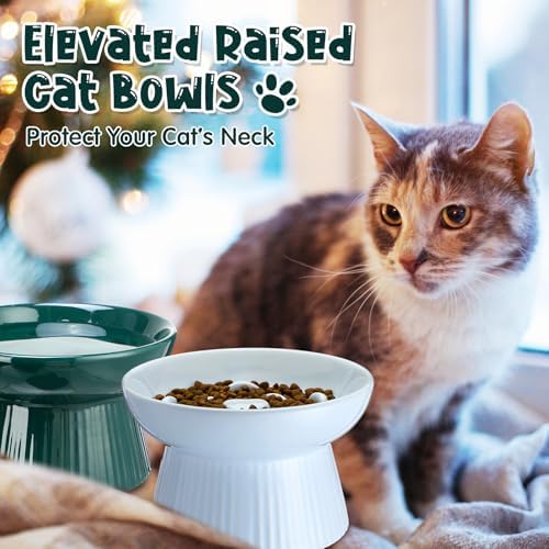 2 Pcs Raised Cat Slow Feeder Bowl Ceramic Elevated Cat Dog Food Bowl No Spill High Edge for Dry Wet Food and Water Easy to Clean, Dishwasher Safe (Dark Green,Blue)