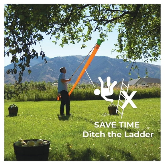 CintBllTer Fruit Harvester - Fruit Picker for up to 5.5 inch Fruit with Anti Bruise Fruit Chute.