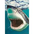thumbnail image 1 of Taladro Pintura Diamante (DE3586) 5D DIY Animal Completo Punto de Cruz Kits de Mosaico (hg400) 20X30cm FLhrweasw Nuevo, 1 of 1