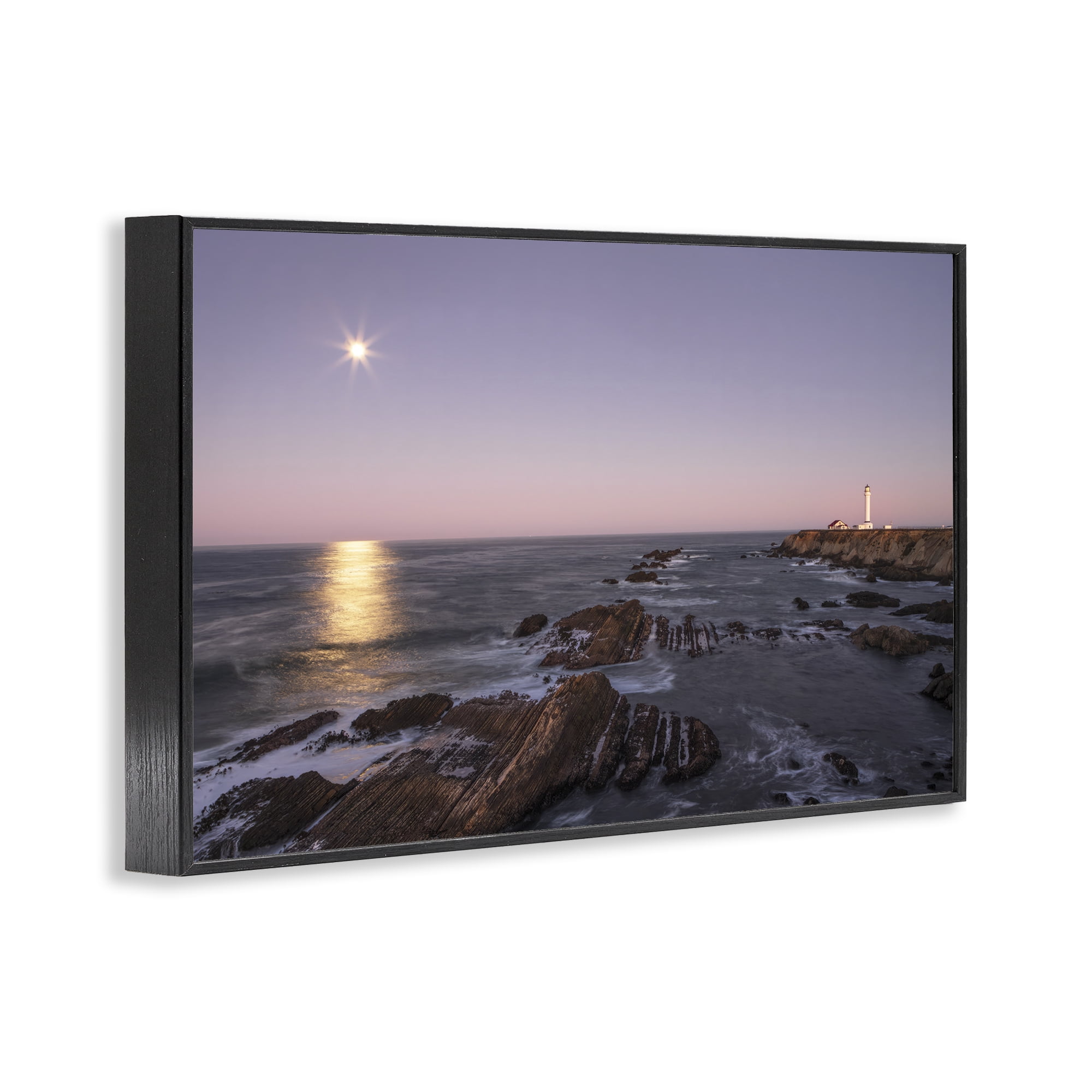 Stupell Industries Moon Arena Coastline Black Framed Giclee Art, design by Shelley Carlisle