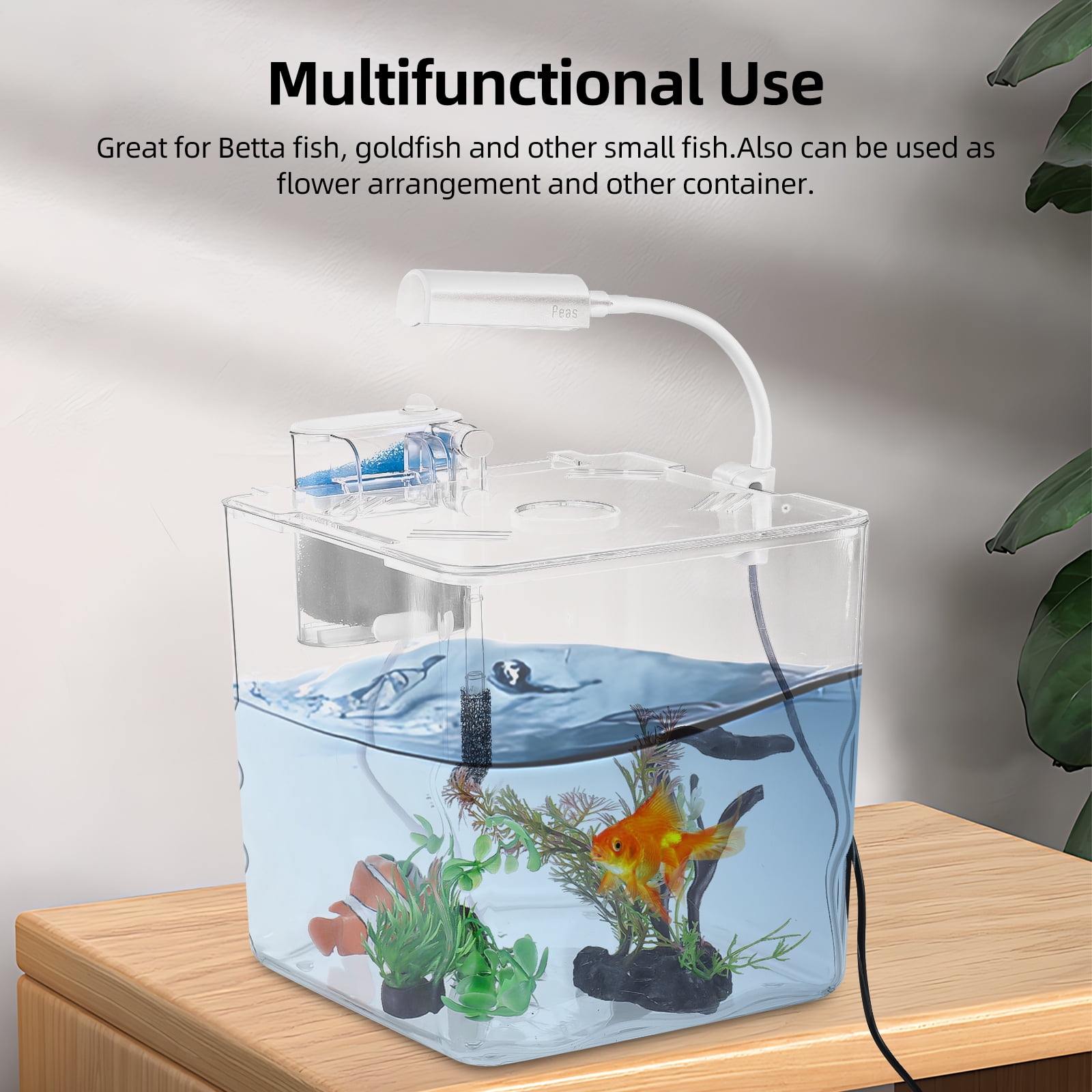 Goldfish in 1 gallon tank hot sale