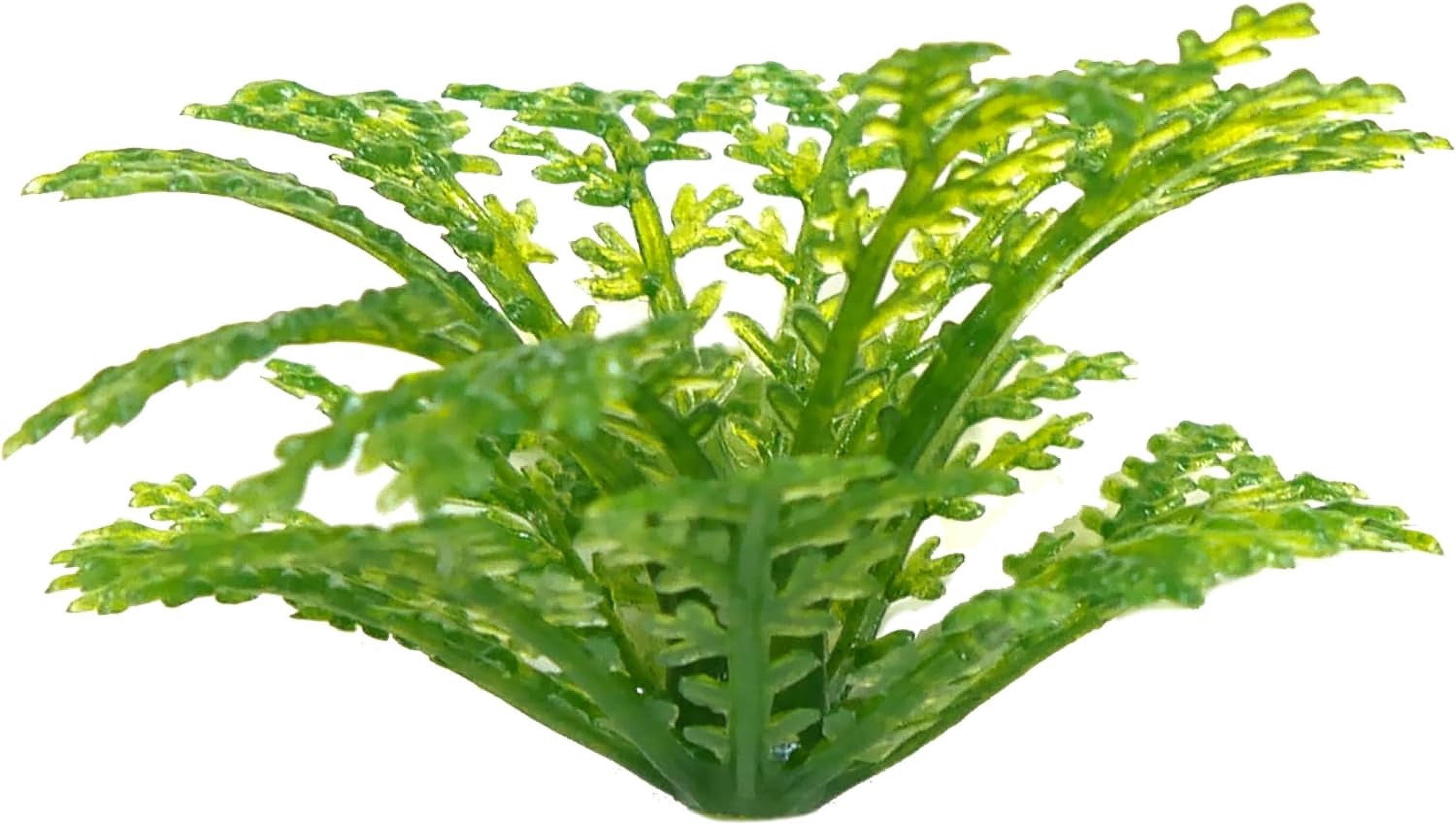 (3 pack) Penn-Plax Decorative Green Plastic Plants Surround Airline Tubing for Aquarium 60"Length - 1 Count