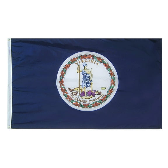Annin Flagmakers Virginia State Flag USA-Made to Official State Design Specifications, 3 x 5 Feet (Model 145660) CA1