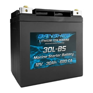LiFePO4 12v Battery Motorcycle Lithium Phosphate Iron Battery - High  Performance - Built-in BMS Voltage Protection Board Replacement YTX30L-BS  For