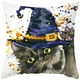 thumbnail image 1 of Teissuly Halloween Pillowcase Decoration Witch Hat Pillow Cushion 1PCS Teissuly WER202311211833, 1 of 1