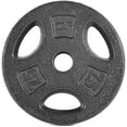 thumbnail image 1 of WF Athletic Supply Cast Iron 1-Inch Standard Grip Plate for Strength Training, Muscle Toning, Weight Loss & Crossfit - Multiple Choices Available, 1 of 7