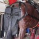 thumbnail image 4 of predolo Bolsa Recogedora de Estiércol de Caballo Correas Ajustables Bolsa para Estiércol de Caballo Ajustable Accesorio Ecuestre para Áreas Turísticas, Ciudad, 4 of 9