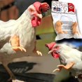 thumbnail image 3 of Mordaza Regalo Pollo Disfraz Brazos Juguete Para Pájaro Pollo Serendint HA044689-02, 3 of 6